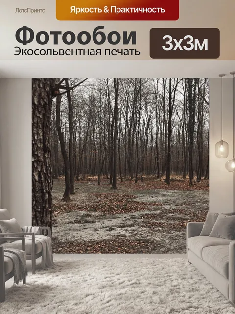 Фотообои Лес