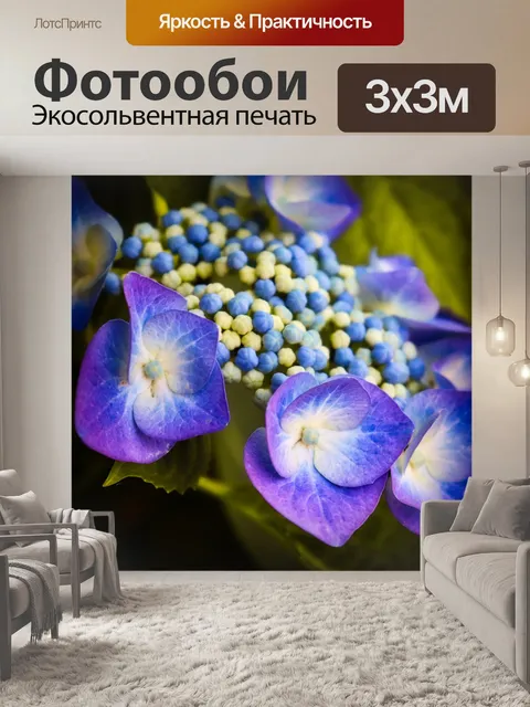 Фотообои Гортензия