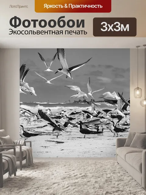 Фотообои Птица