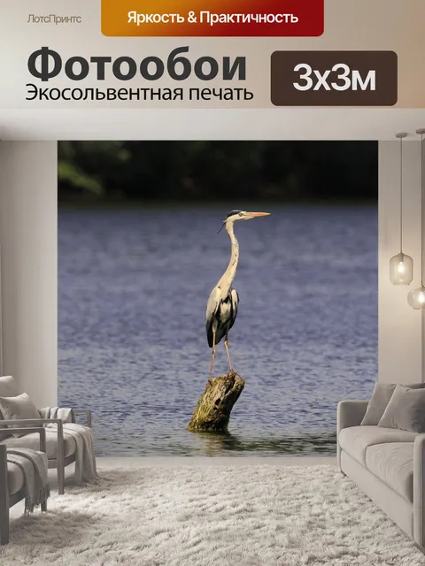 Фотообои Цапля