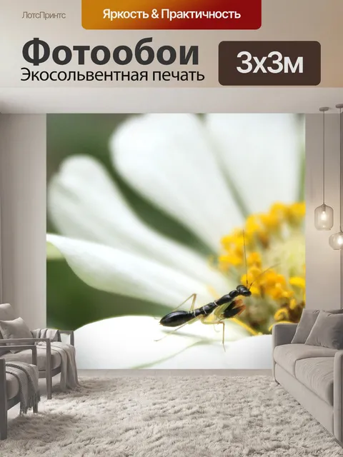 Фотообои Насекомое
