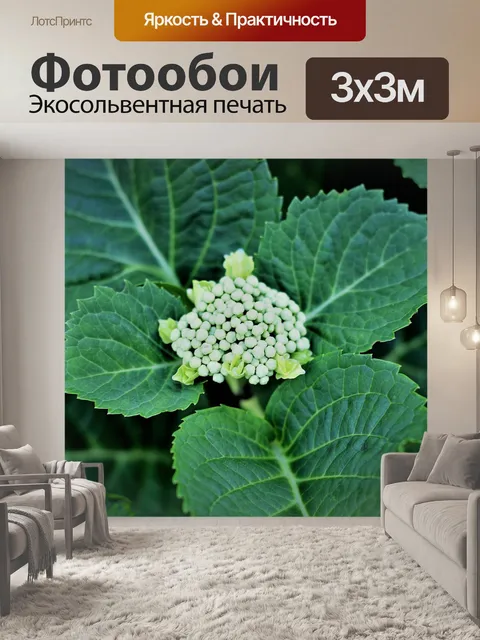 Фотообои Зеленые листья