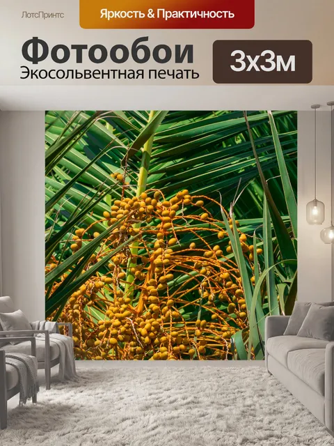 Фотообои Даты пальм