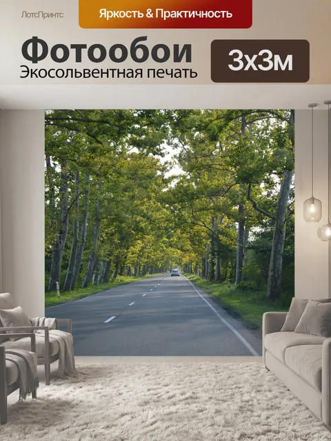 Фотообои Дорога
