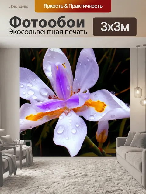 Фотообои Цветок