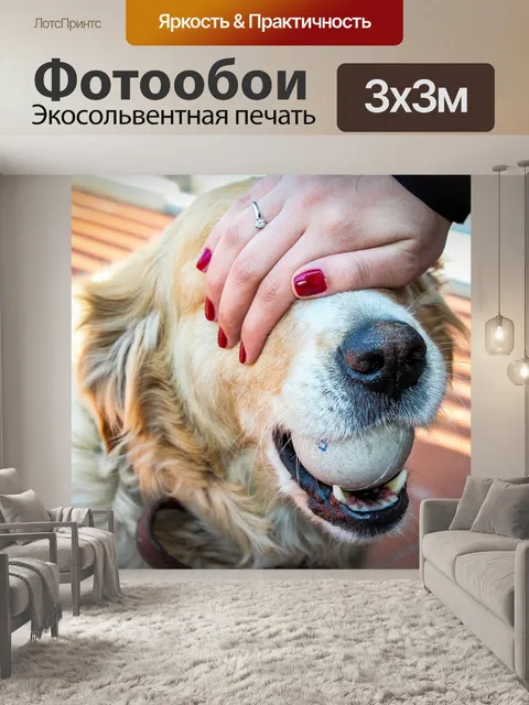 Фотообои Собака