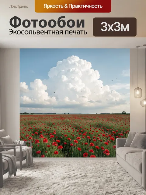 Фотообои Маковое поле под облаками