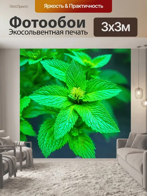 Фотообои листья деревьев завуалированы утренним росой