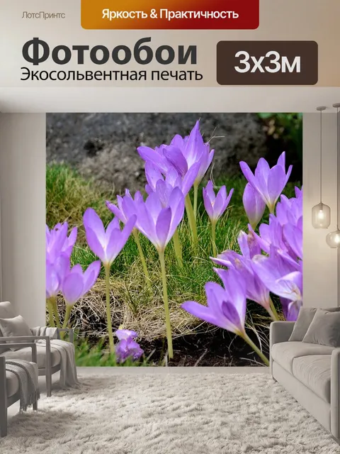 Фотообои Цветы