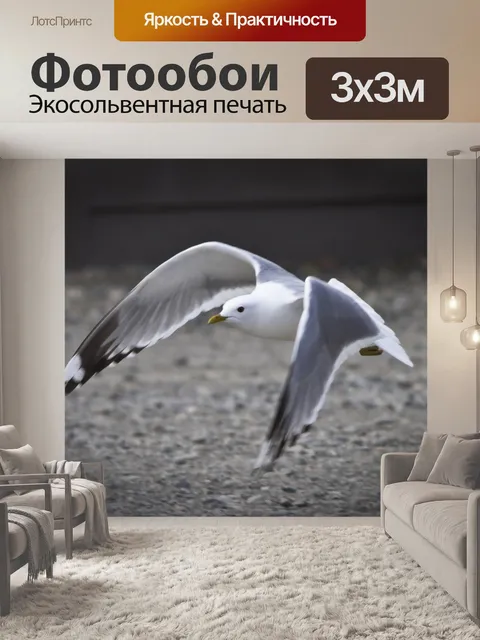 Фотообои чайка