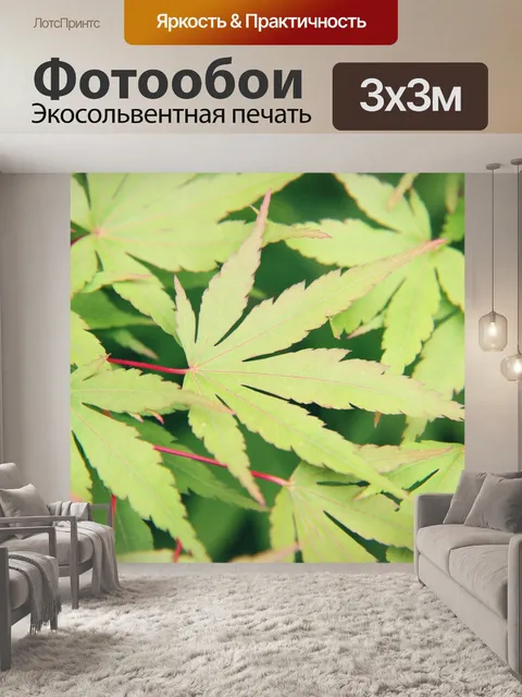 Фотообои Листья