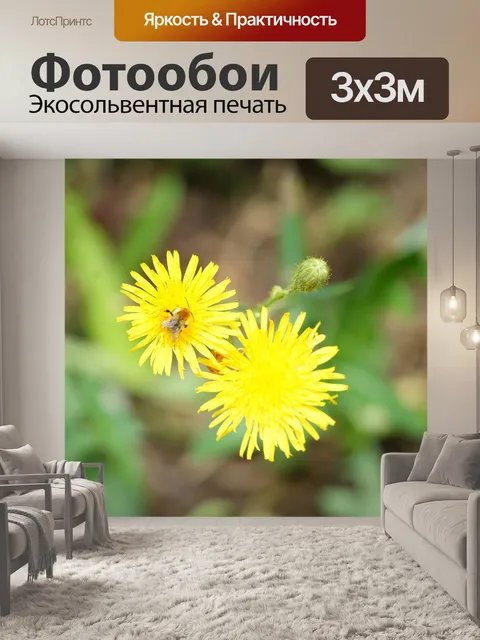 Фотообои Пчела и цветок одуванчика