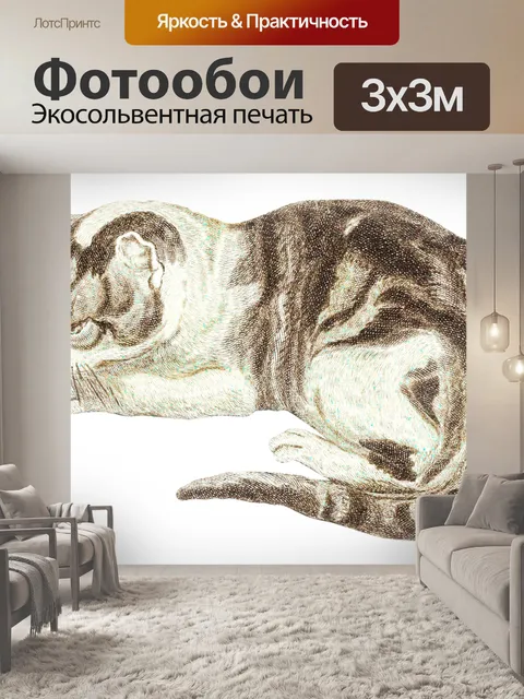 Фотообои Кошка котенок рисует старый