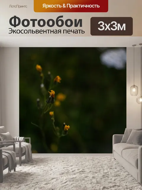 Фотообои Полевые цветы