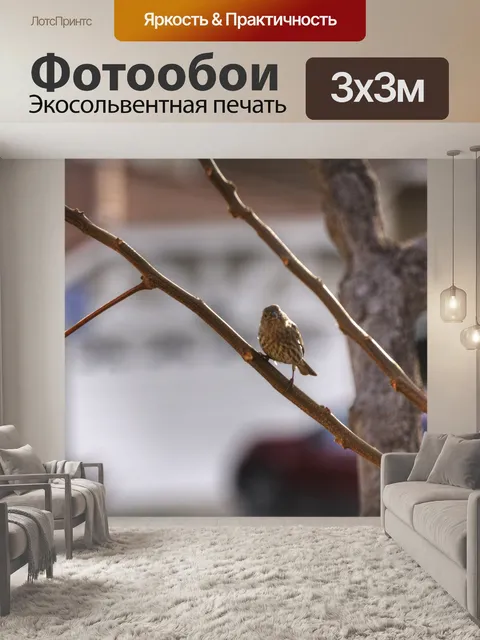 Фотообои Женский Дом Финч