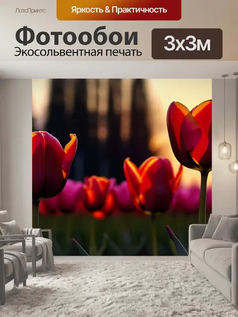 Фотообои силуэт тюльпанов на закате
