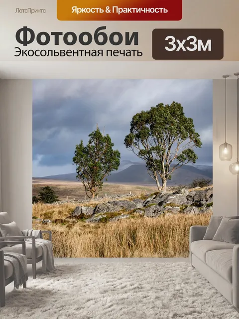 Фотообои Поле