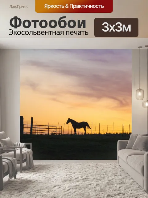 Фотообои лошадь