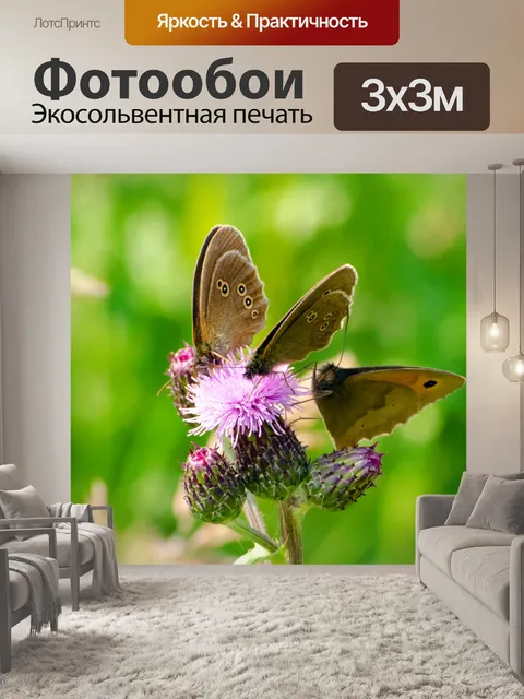 Фотообои бабочка