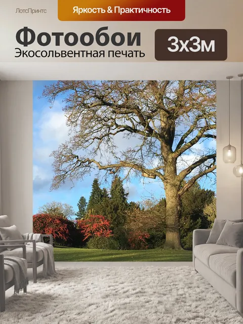 Фотообои Деревья