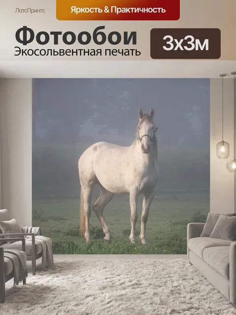 Фотообои Лошадь