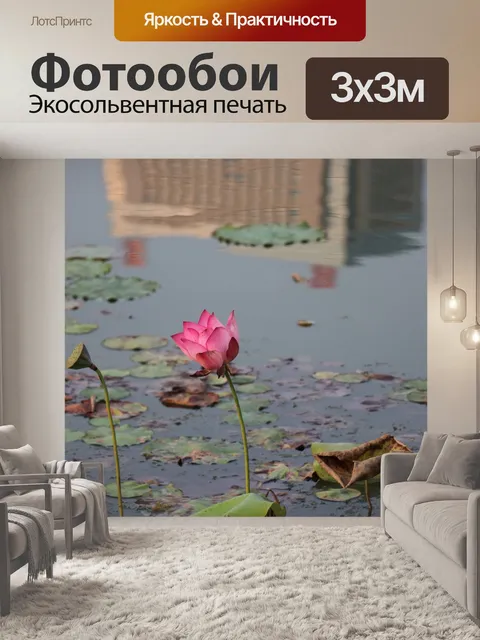 Фотообои Lotus