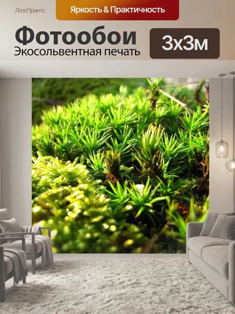 Фотообои Мосс