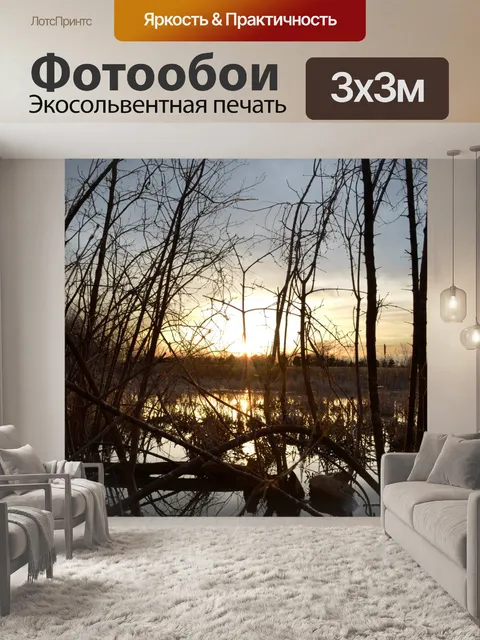 Фотообои закат над болотом