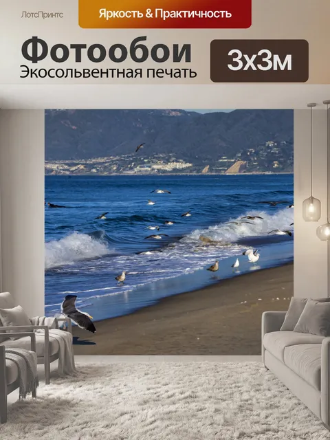 Фотообои Чайки на море
