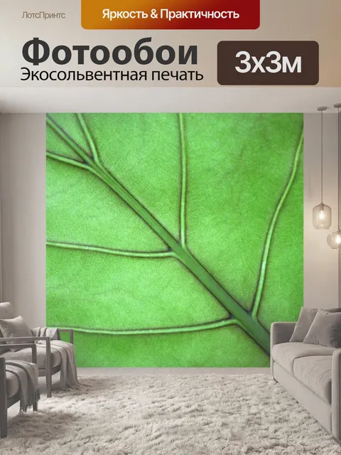 Фотообои Лист