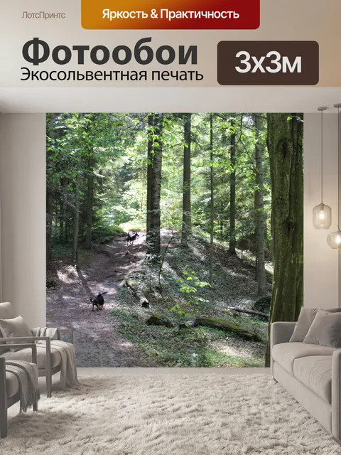 Фотообои Собаки на прогулке
