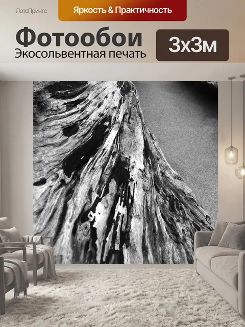Фотообои Старый лес