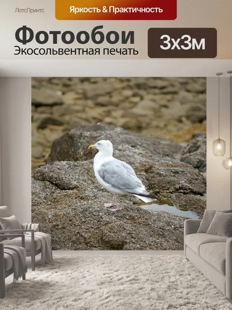 Фотообои Дикая природа у моря