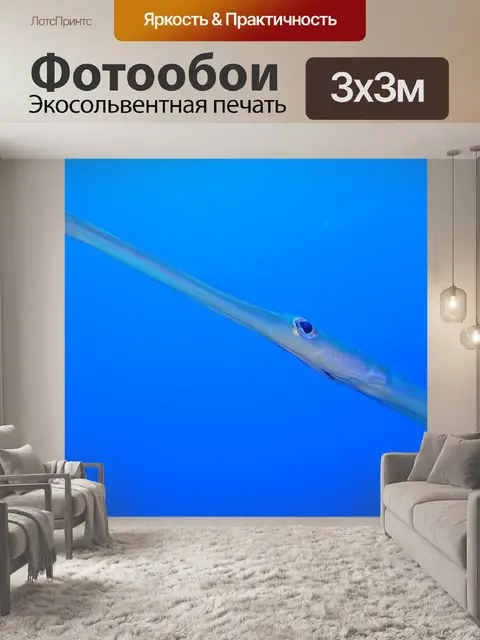 Фотообои Рыба