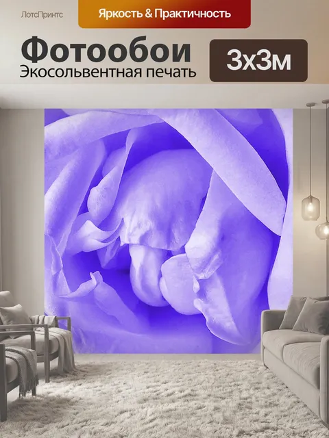 Фотообои Роза