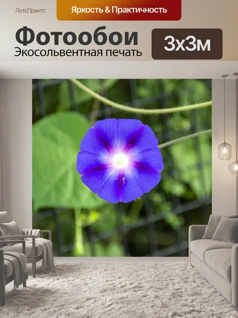 Фотообои Пляж Moonflower