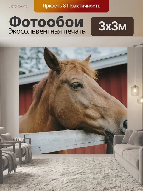 Фотообои Лошадь