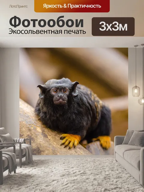 Фотообои Животное