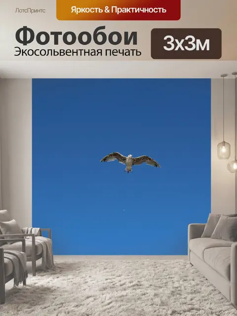 Фотообои Птицы