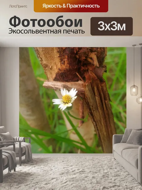 Фотообои Цветы