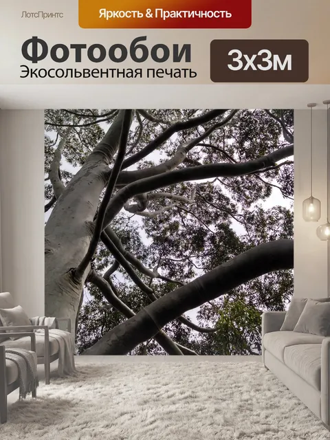 Фотообои Сучки