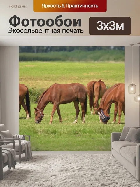 Фотообои Лошади