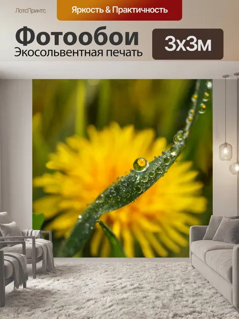 Фотообои Зеркальное отражение одуванчика