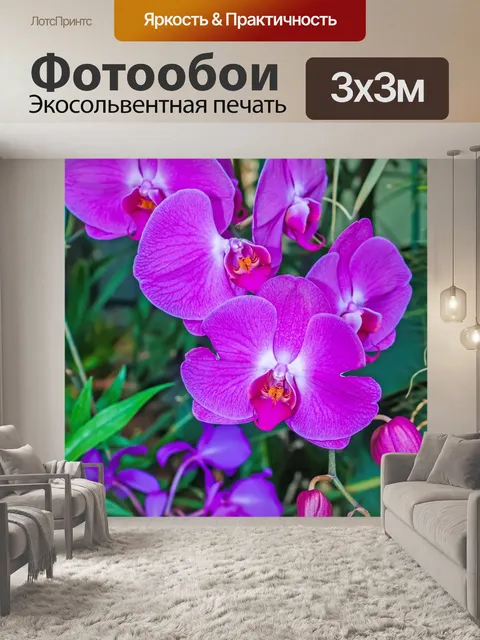 Фотообои Фиолетовых орхидей