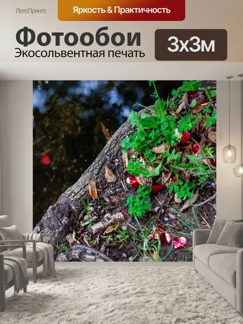 Фотообои Пластиковые конфетти