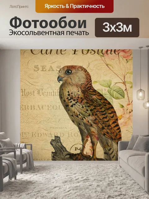 Фотообои Сова, Птица Винтаж Открытка