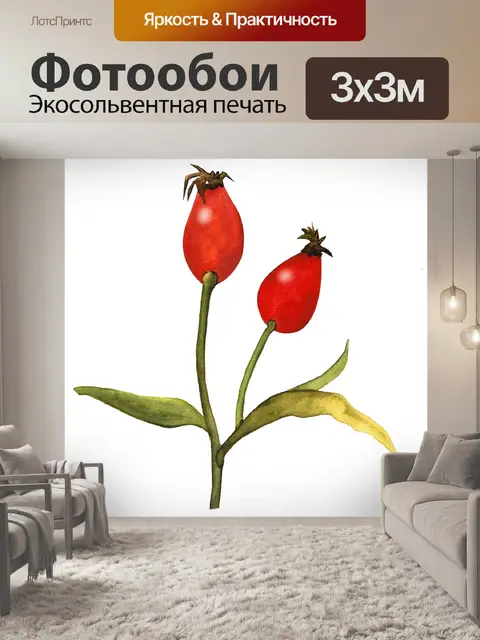 Фотообои Шиповник