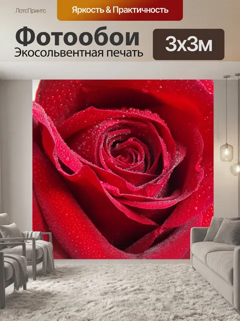 Фотообои Роза