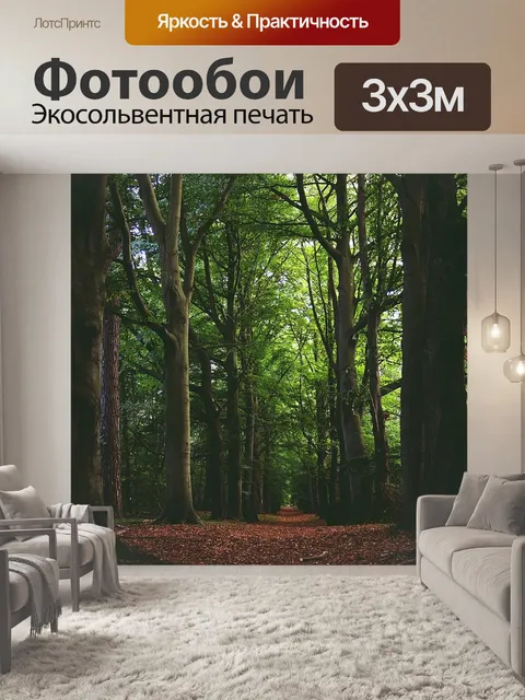 Фотообои Лес