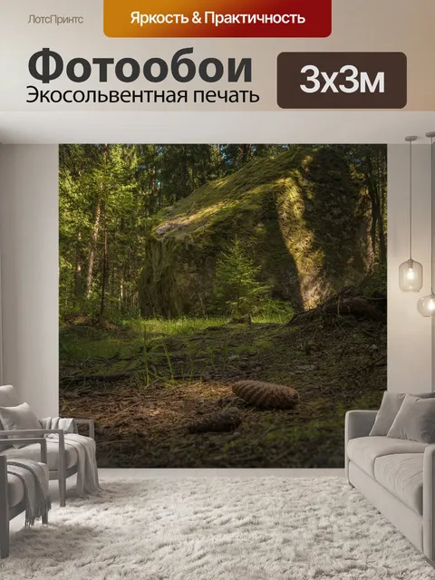 Фотообои Лес